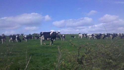 Dairy Farmer, retweets not always an endorsement