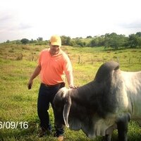 José  Ramírez (@josecarlos_ram) 's Twitter Profile