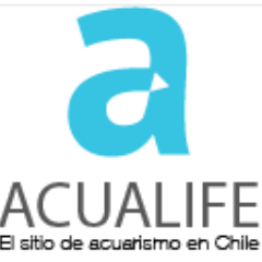 acualife's profile picture. venta de Acuarios . y productos relacionados con este apasionante hobbie info@acualife.cl