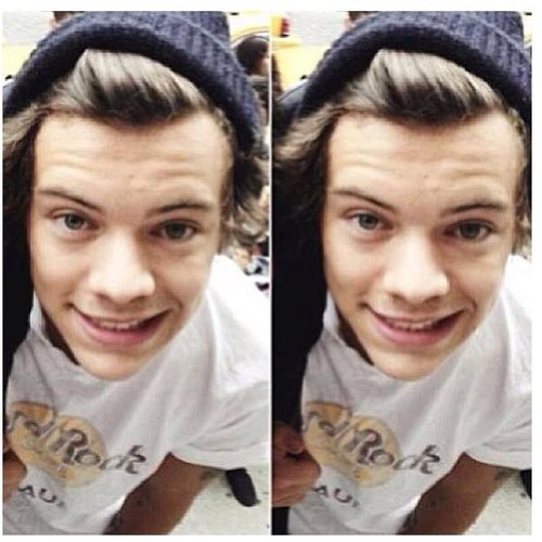 I like One Direction&5SOS 0/5 0/4 and I love you.