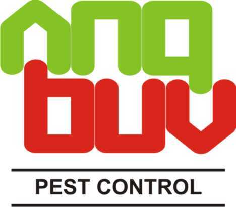 Pest management consultancy and pest extermination services