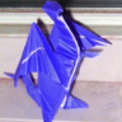 Just your basic small blue dragon, arting and modding on twitch.  Any pronoun but they is fine.