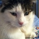 Valerie Ayers - @ayers_tav - Twitter