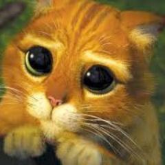 SergiMorgal's profile picture. 