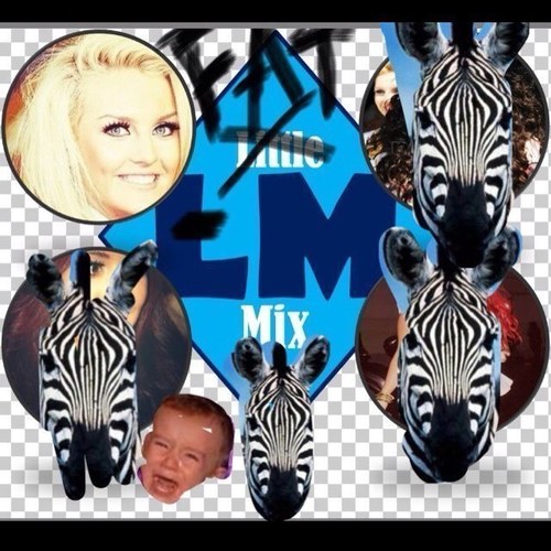 FATMlX's profile picture. we r the new pussycat dolls we sing for the kewl kidz n we luv food