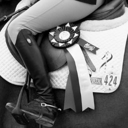 Your typical competitive hunter/equitation equestrian.