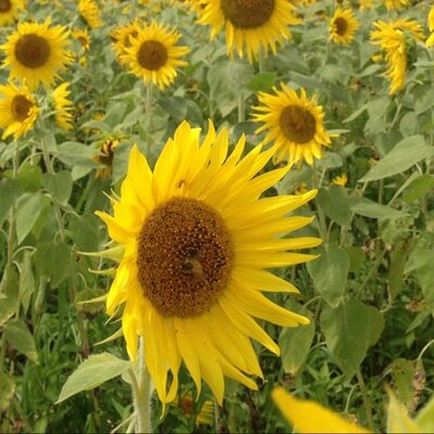行きたいところ Kisaki Twitter 行きたいところ Kisaki Twitter