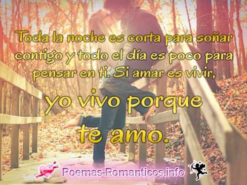 amar ami esposo