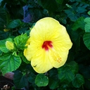 Val Dee - @dee_tali - Twitter