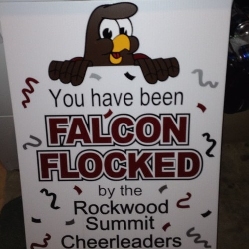 Want to flock someone? falconflocking@gmail.com 
Dont forget to Friend Us on Facebook! Freddie Falcon!