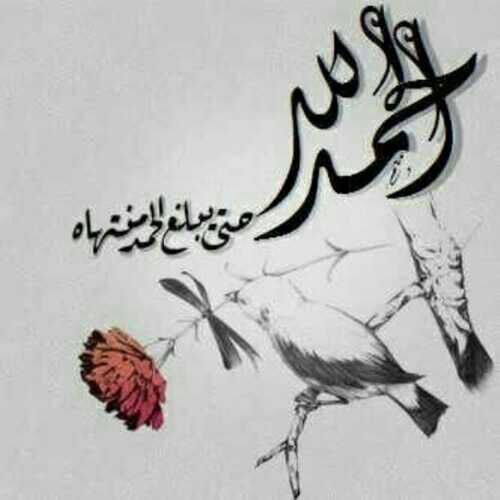 ‏‏‏*همي رضااااك ربي*