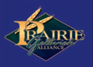 Prairie Gelbvieh Alliance group offers breed leading Gelbvieh genetics via 1 sale annually in Moose Jaw, SK, Canada