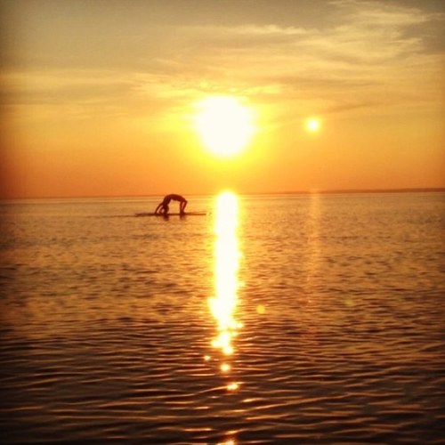 Anamaria1117's profile picture. Aloha...