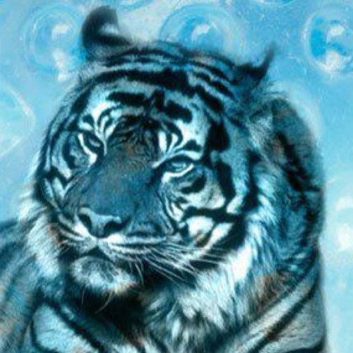 spikie9890's profile picture. Txt: 9568329520
Snapchat: spikie9890
Kik: russell9s