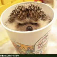 cai_ling_zhen's profile picture. 