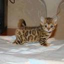 3 S A M Y 3 - @SamiRobles1 - Twitter