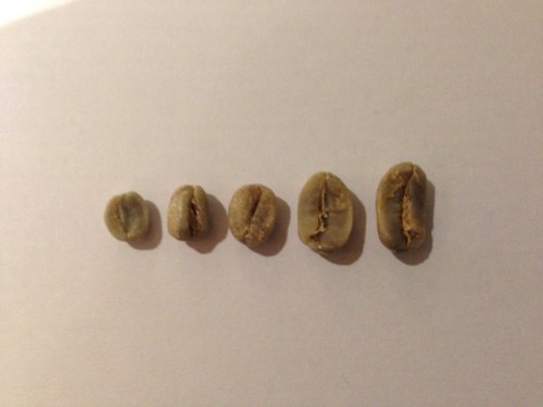 CowAndGrain's profile picture. 