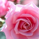 Nawal (@00nawal) Twitter