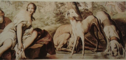 pamic21's profile picture. 