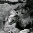 تــركــي (@1977_ot) Twitter