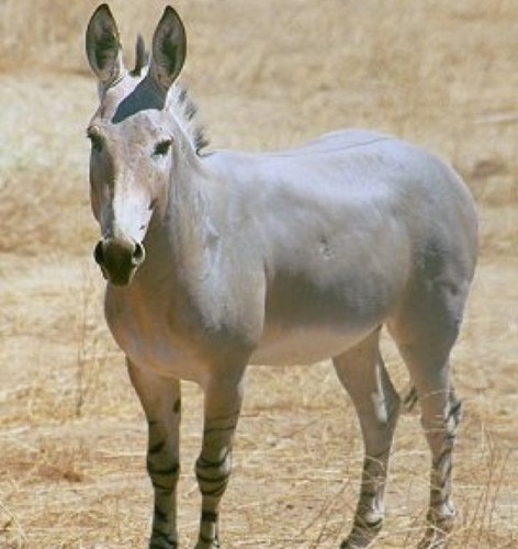 thederp123's profile picture. Im a big ass :D