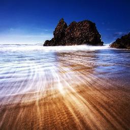 iamtesting05's profile picture. For testing