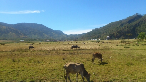 MKaimuddin's profile picture. Human Initiative/Headquarter Office/Indonesia