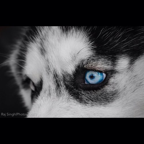 Check out my photography!
