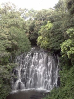 Bhaskar430's profile picture. 