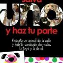 Joan Ortiz Moncada - @guiajoan - Twitter