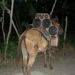 ismaelbravogar1's profile picture. 