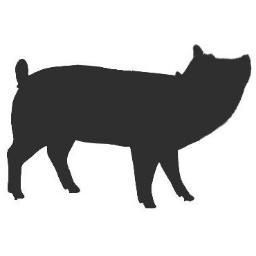 ADYeying's profile picture. hohohhohohohohoh