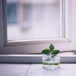 zhangyi19900603's profile picture. 