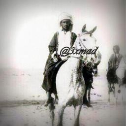 #sarcastic #pragmatic #farmer #Environmentalist
#لعلهُ_خير