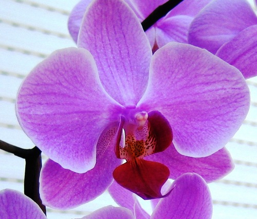 To accomplish great things, we must not only act, but also dream;
not only plan, but also believe.

- Anatole France