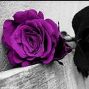 فيصل (@0580939656) Twitter