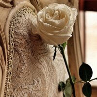 Manahel (@manhola1407) 's Twitter Profile