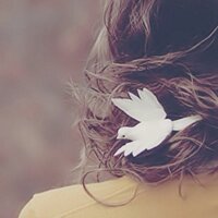 Manal Ali (@hamsadafeah2) 's Twitter Profile