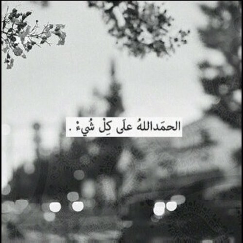 ️ الأملُ ؛ صديقٌ رائِع ، رُبّما يَغيبْ ، لَكنّهُ لا يَخونْ أبداً [♥]#تبادل_رتويت #تابعني_اتابعك #