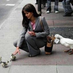 indirseydik's profile picture. mehmet.a