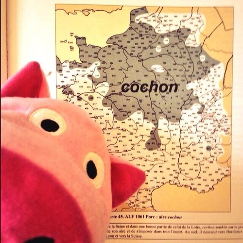 Rosen_Dero's profile picture. [bastjãkuntχaʁi] – Éclectisme – Ὅσον ζῇς φαίνου