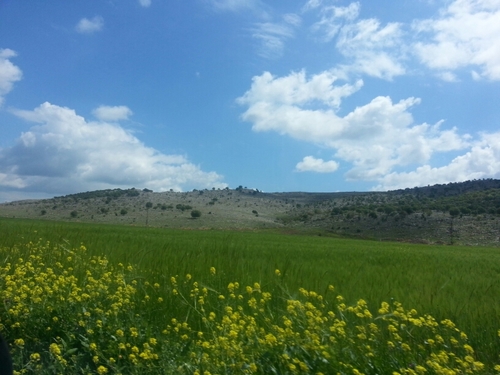 dtakeski's profile picture. 