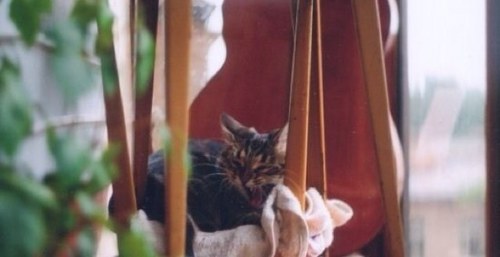 Прекрасная добрая девушка. Ага, это я. Рисую еще. Благодать, короче