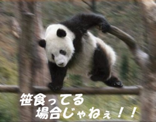 車ときどきバイク マイペースでほそぼそとつぶやいていきます