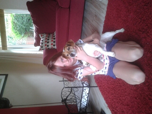 hi I love niall hoarn from 1D and horses iam a good horse rider i love animals almost 10