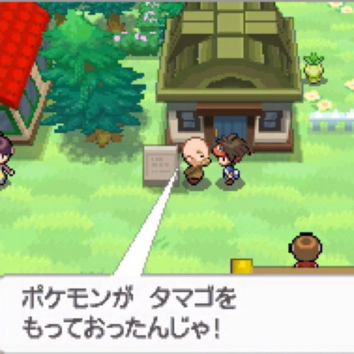 育て屋爺さん U Tvitteri 今日もポケモンたちは元気にハッテンじゃ