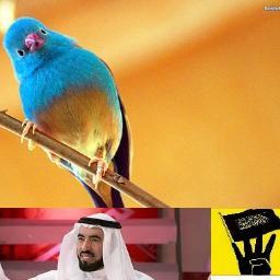 AlBeleved's profile picture. عمر عبد العزيز طالب في الصف الاول ثانوي.  فلسطيني مسلم,  ان شاء الله داعية ايضا.