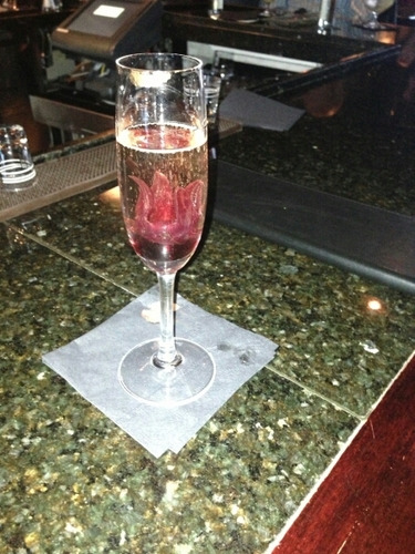 robin_ten10's profile picture. 