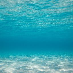 Ocean-senpai. Old, but not old. Can RP yo. Pee in me, an' you is dead. //header pic not mine, feel free to drop in.