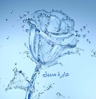‏إذا ما لم يفدك العلم خيرٌ~ فخيرٌ منه أن لو قد جهلتا
وإن ألقاك فهمك في مهاوٍ~ فليتك ثم ليتك ما فهمتا